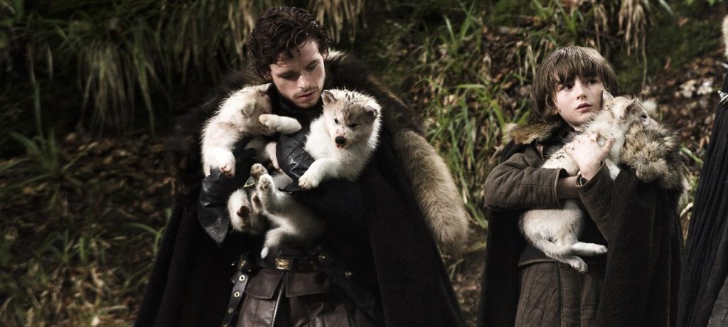 Lobos de Juego de Tronos