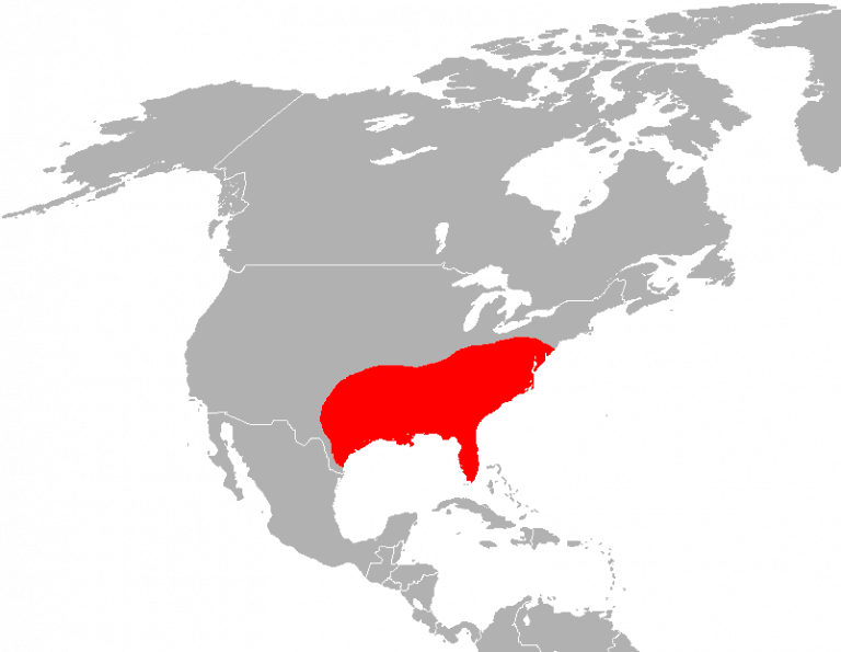 mapa de la distribución del lobo rojo