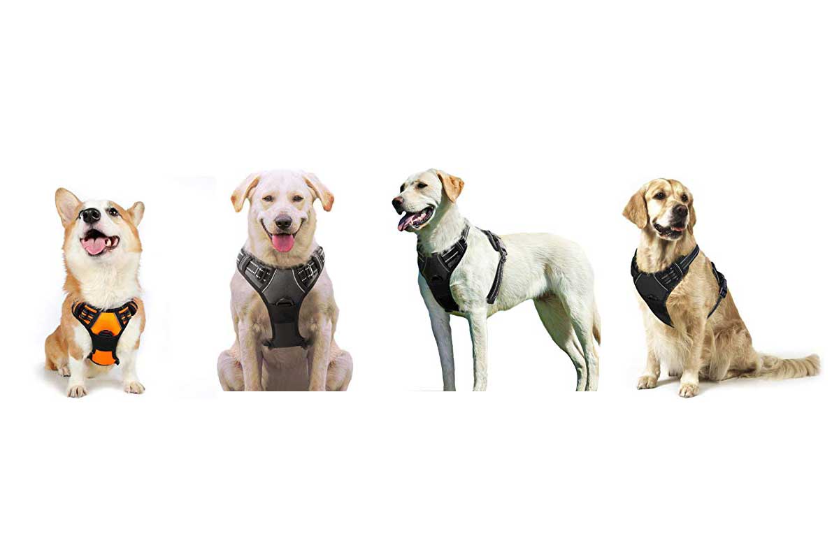 arnés-para-perros