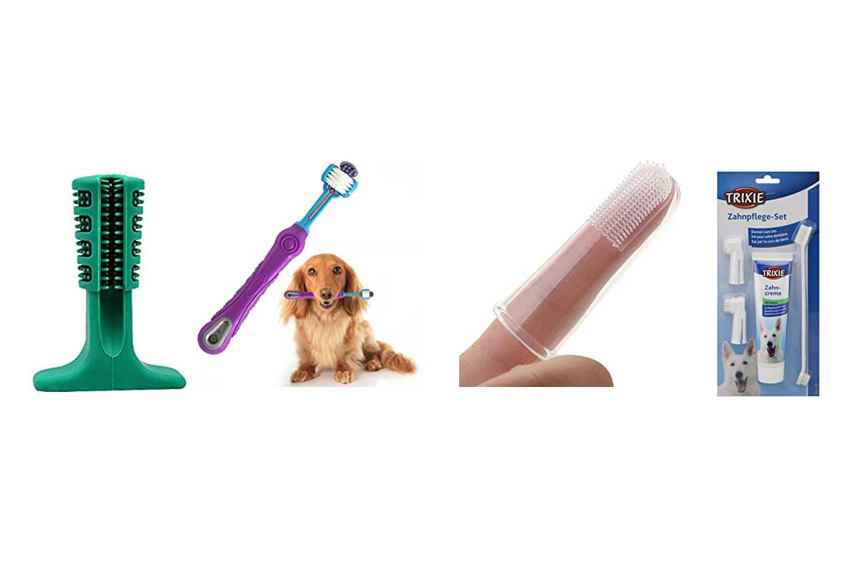cepillos-de-dientes-para-perros